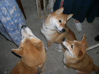 c0123890_20533933.jpg