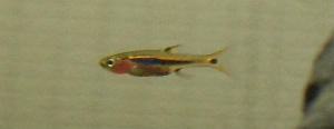c0074591_1243248.jpg