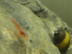 c0074591_1245334.jpg