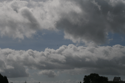 d0100192_2222435.gif