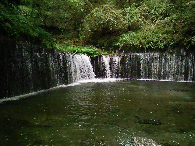 c0080193_22153888.jpg
