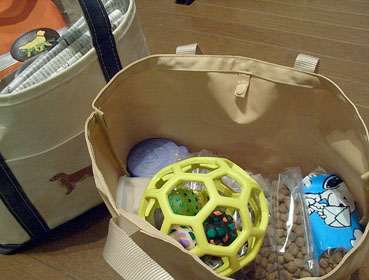 c0096393_0304026.jpg