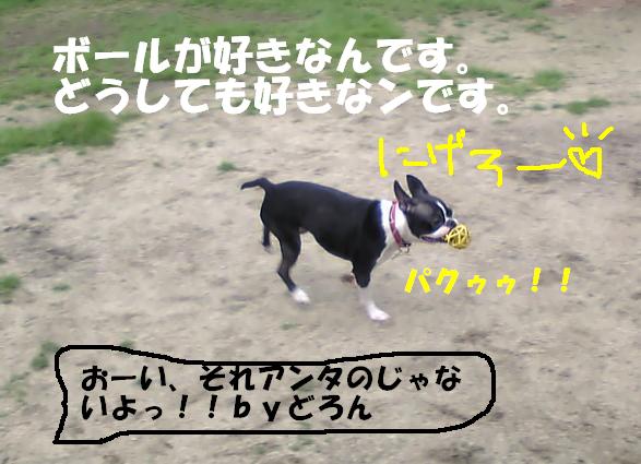 c0092097_21422539.jpg