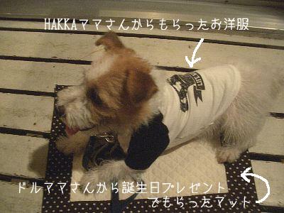 a0051402_17572712.jpg