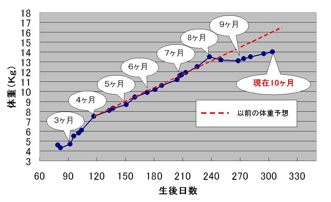 c0113109_23253775.jpg