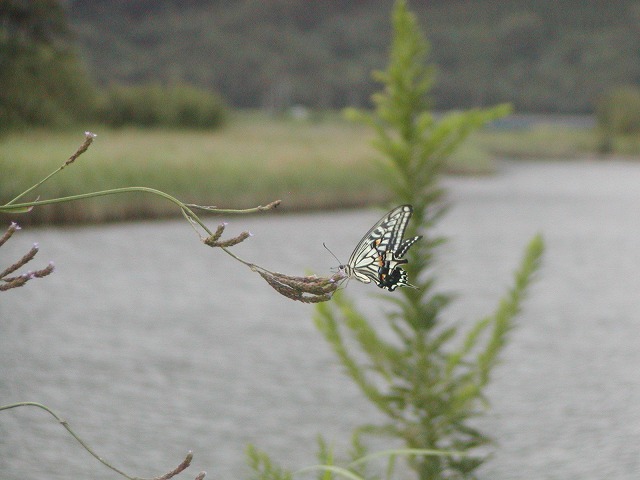 d0037110_16555988.jpg
