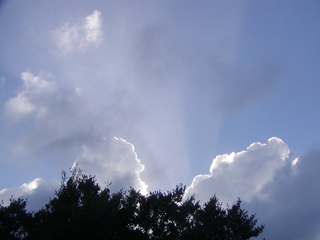 d0037110_1657194.jpg