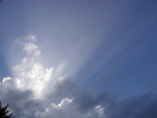 d0037110_16573844.jpg