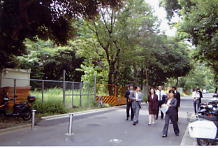 d0078011_1134726.jpg