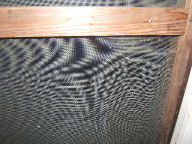 f0079411_23122977.jpg
