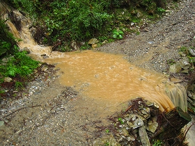 e0002820_2039548.jpg