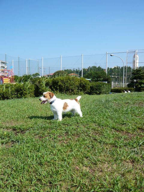 f0124526_1351739.jpg