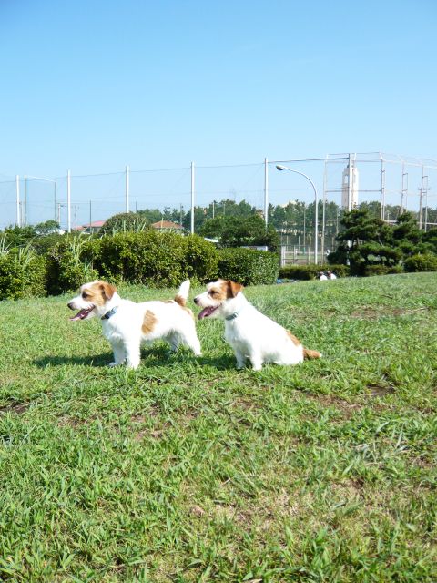 f0124526_1352746.jpg