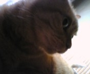 c0134727_78429.jpg
