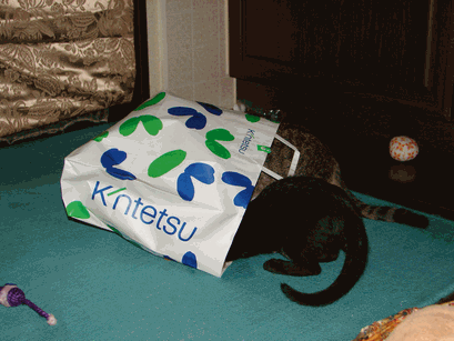 c0136736_11422432.gif
