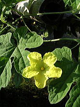e0016836_92503.jpg