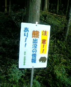 d0090842_2292880.jpg