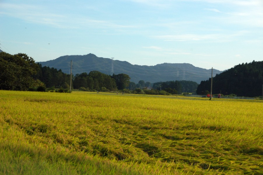 e0009147_18181442.jpg