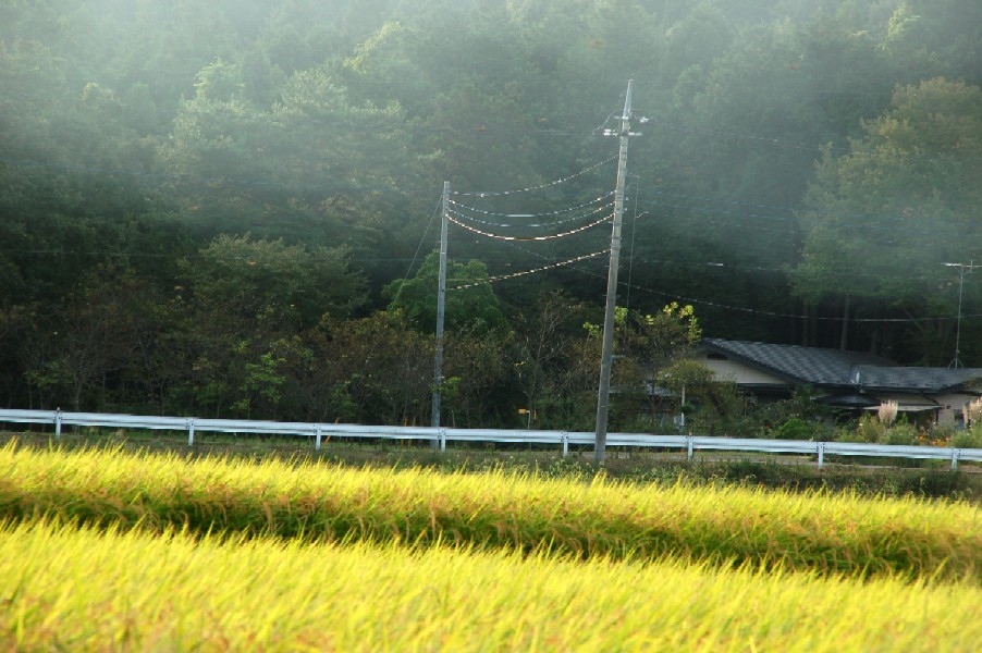 e0009147_18192257.jpg