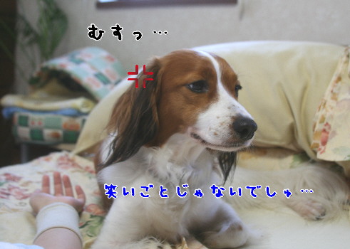 d0013149_036158.jpg