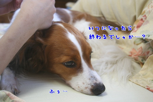 d0013149_1245627.jpg