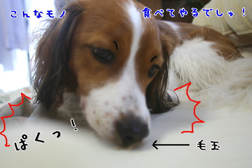 d0013149_1274446.jpg