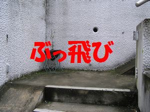 a0090451_16125297.jpg