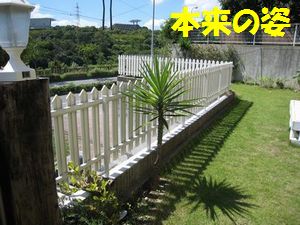 a0090451_16143187.jpg
