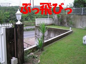 a0090451_1614867.jpg