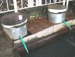 c0097856_19552882.jpg