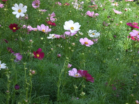 c0107861_22472513.jpg