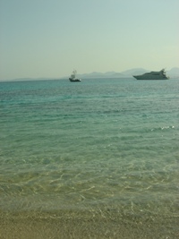 c0102268_1555993.jpg