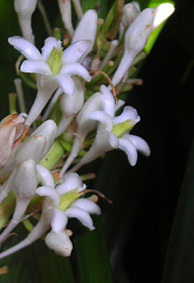 e0097770_21155087.jpg
