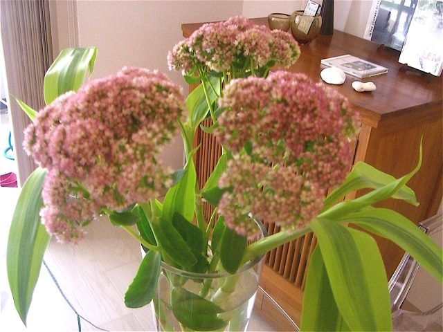 e0018777_0231899.jpg