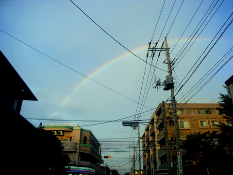 a0043982_18312524.jpg