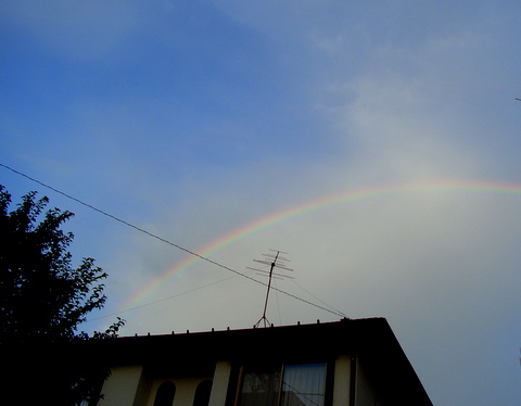 a0043982_1831827.jpg