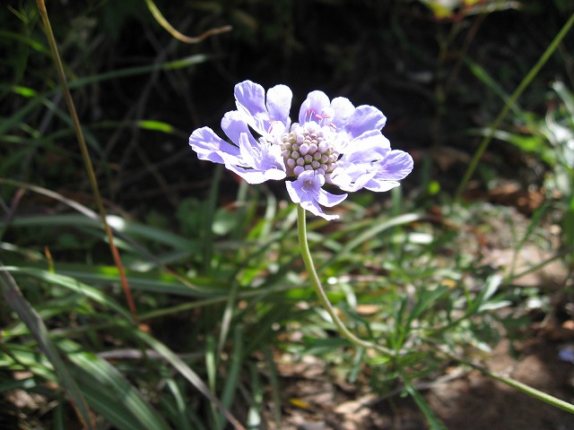 c0138182_16315852.jpg