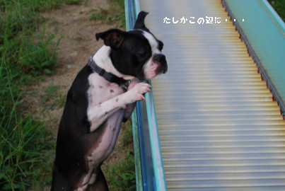 c0092787_1002145.jpg