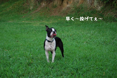 c0092787_9542950.jpg