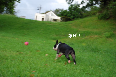 c0092787_9544842.jpg