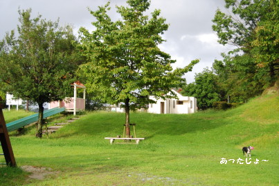 c0092787_9553047.jpg