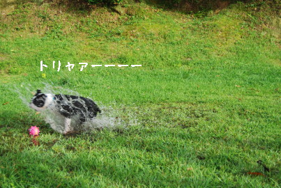 c0092787_9573310.jpg