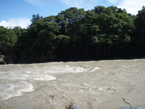 a0098690_1922325.jpg