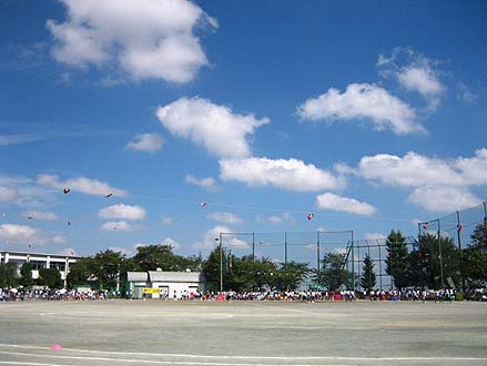 c0004193_13352634.jpg