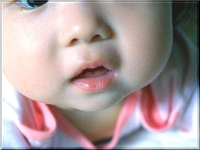 a0043395_21344973.jpg