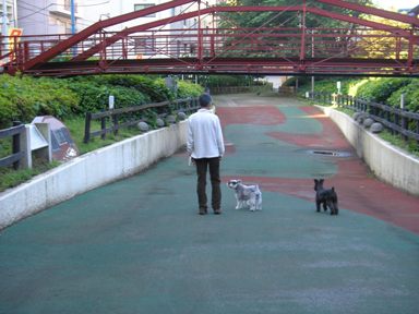 c0138198_11878.jpg