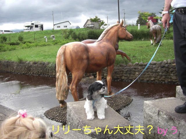 e0050801_0322445.gif