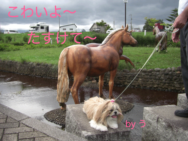 e0050801_0412375.gif