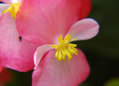 d0080118_22212125.jpg