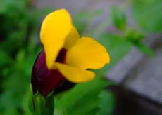 f0147025_213739.jpg